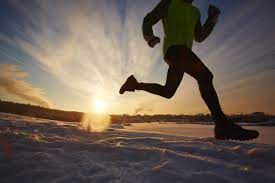 Les Activités Sportives : Un Pilier Essentiel de Notre Bien-Être