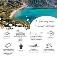 Découvrez la Magie des Calanques de Cassis lors d’une Balade en Bateau