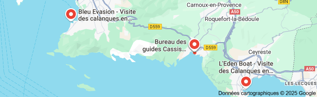 calanques boat tour cassis