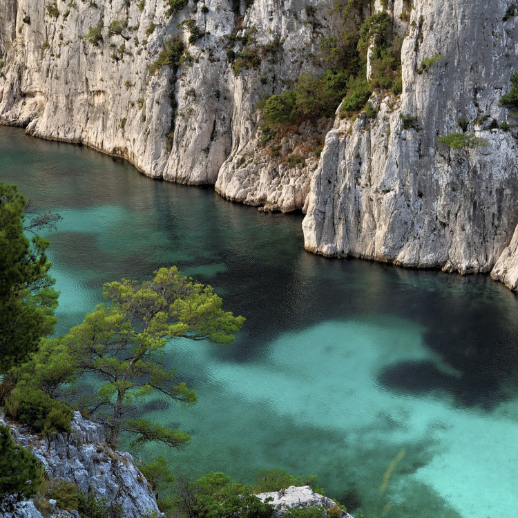 Exploration des Calanques de Cassis à Pied : Une Aventure Naturelle Inoubliable