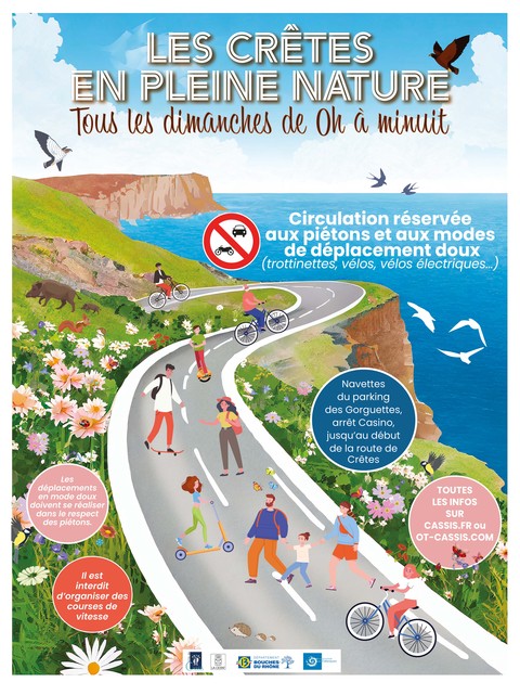 Découvrez les Trésors de Cassis avec l&rsquo;Office de Tourisme