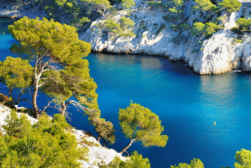 Découvrez la Beauté des Calanques de Port Pin à Cassis