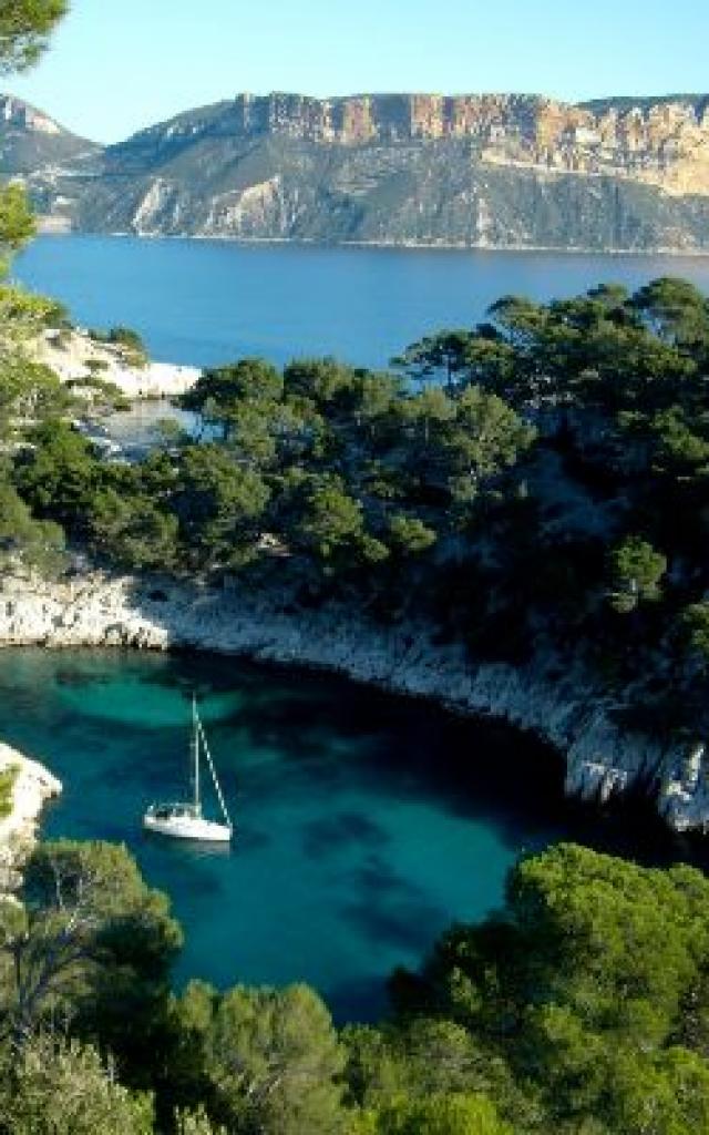 Découverte de la Région de Cassis : Entre Calanques et Vignobles
