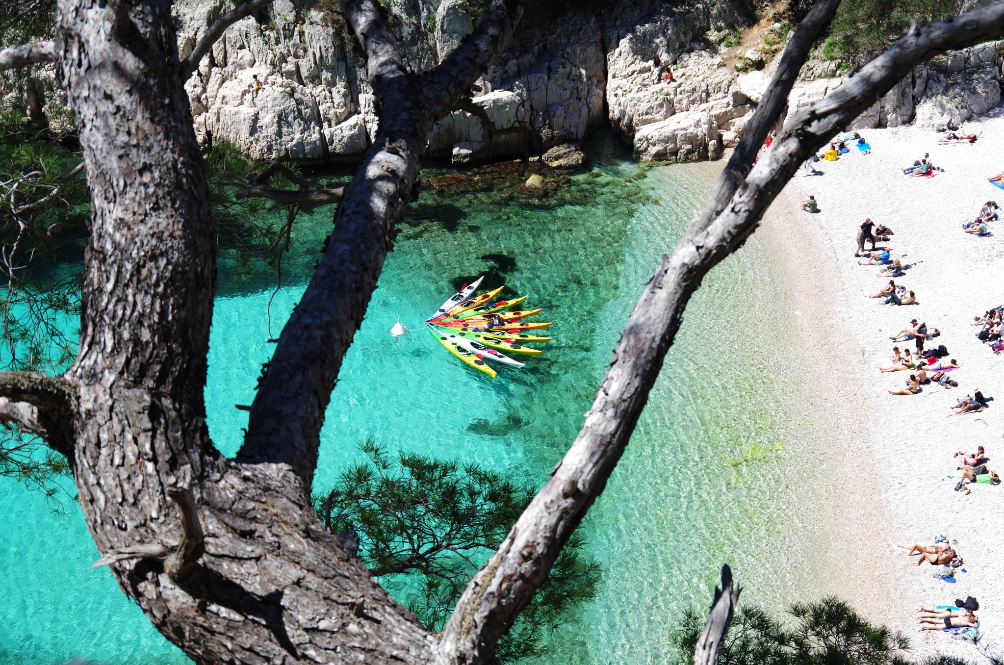Découvrez la Beauté des Calanques de Cassis lors d&rsquo;une Visite Inoubliable