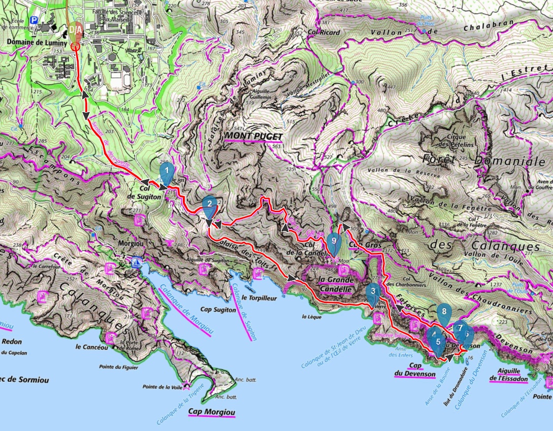 promenade calanques de cassis