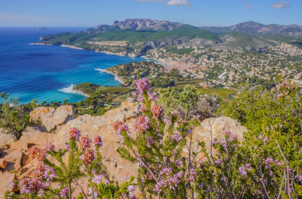 Découvrez la Ville de Cassis : Joyau Méditerranéen à Explorer
